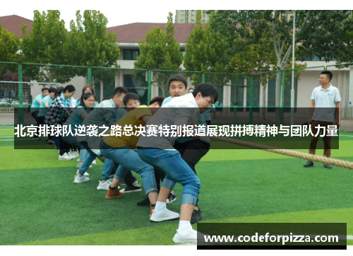 北京排球队逆袭之路总决赛特别报道展现拼搏精神与团队力量