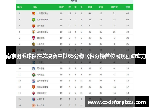 南京羽毛球队在总决赛中以65分稳居积分榜首位展现强劲实力