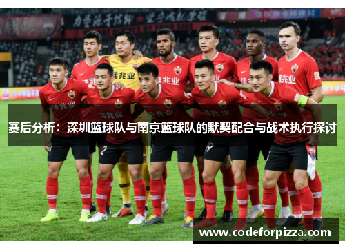 赛后分析：深圳篮球队与南京篮球队的默契配合与战术执行探讨
