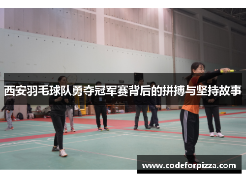 西安羽毛球队勇夺冠军赛背后的拼搏与坚持故事