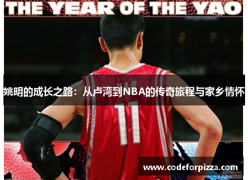 姚明的成长之路：从卢湾到NBA的传奇旅程与家乡情怀
