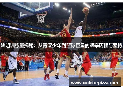 姚明训练量揭秘：从青涩少年到篮球巨星的艰辛历程与坚持