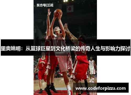 里奥姚明：从篮球巨星到文化桥梁的传奇人生与影响力探讨