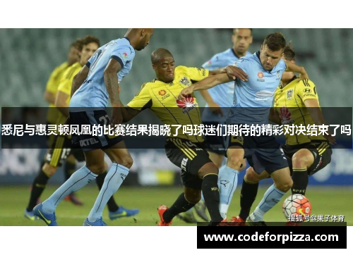 悉尼与惠灵顿凤凰的比赛结果揭晓了吗球迷们期待的精彩对决结束了吗